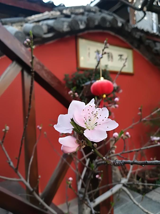 Lijiang Buwuzhai Inn Extérieur photo